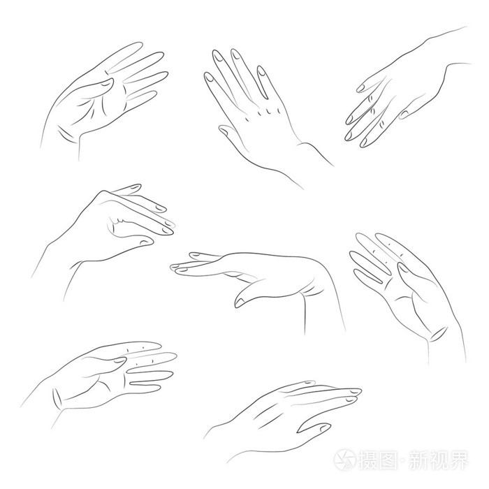 手的轮廓插画-正版商用图片1dro8p-摄图新视界