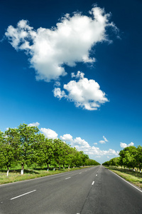 夏季道路景观