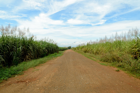 碎石路