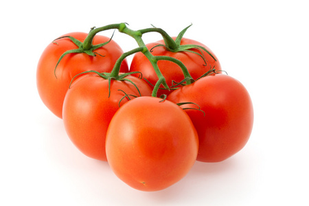 红色西红柿的分支
