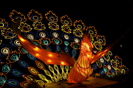 在元宵节在泰国南部的孔雀彩灯图片
