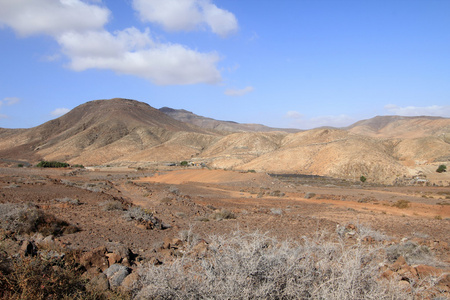 野生景观西班牙Fuerteventura