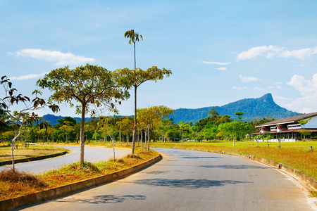 在泰国的公路