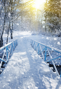 美丽的冬天景观与一座桥梁