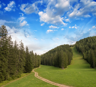 美丽的白云岩的树林。意大利阿尔卑斯山草地和树木