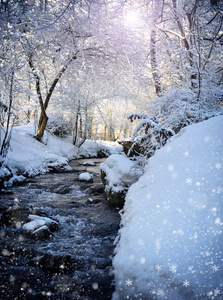美丽的冬天景观与在森林里的河