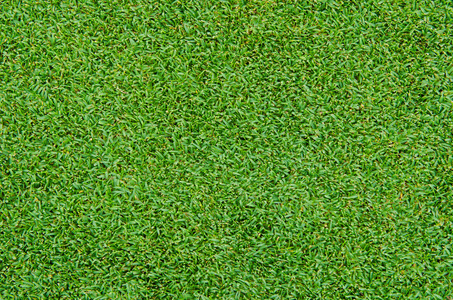 绿草模式