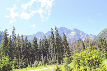 景观的山脉 tatry.poland