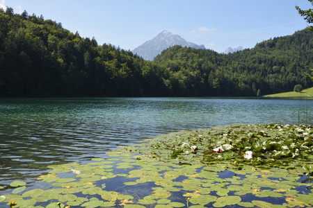 高山湖