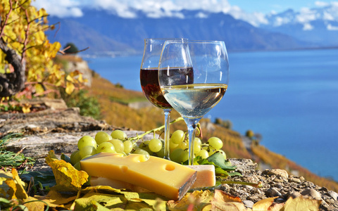 两个酒杯，奶酪和葡萄葡萄园的露台上