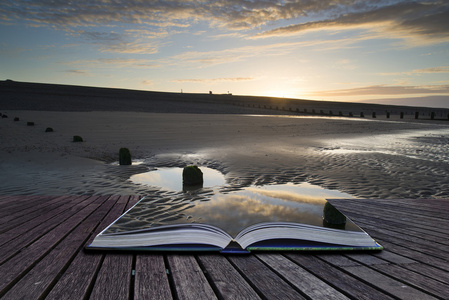 阳光下海边美丽女孩的双重曝光肖像老式的海边查看海报热带岛屿与棕榈