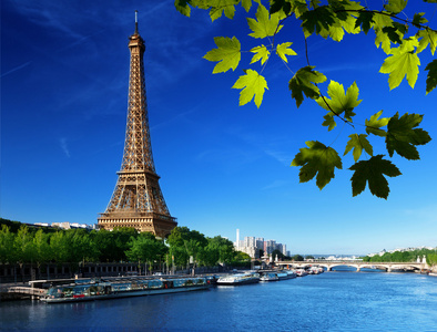 与埃菲尔铁塔在巴黎围网