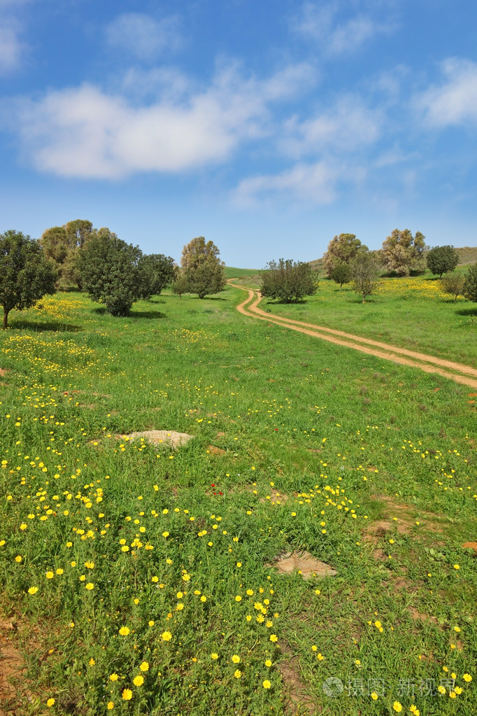 小径穿过一片草地