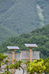 太阳能面板