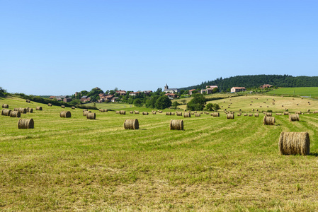 阿维龙的乡村景观法国