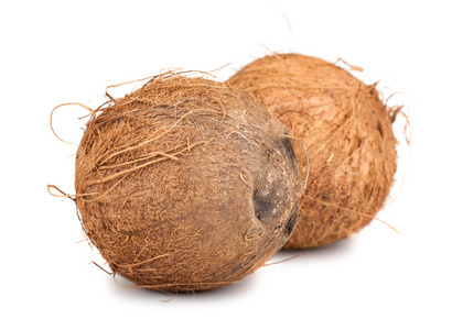 两个棕色成熟的椰子