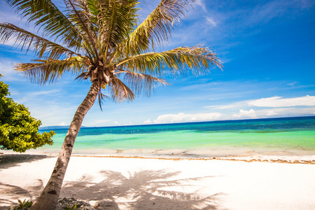 完美的热带海滩，在菲律宾的白色沙滩和绿松石水