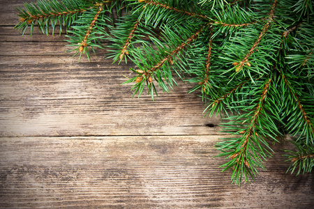 圣诞枞树上一个木制的背景