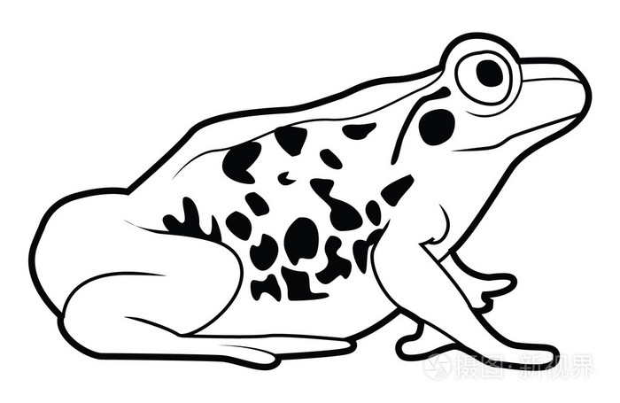 矢量图的青蛙