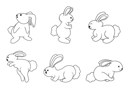 兔组向量插图