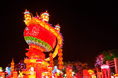 第十九届自贡国际恐龙灯会中国吉祥年的主要领域