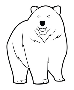 熊矢量插画