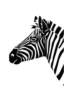 矢量插图van zebra