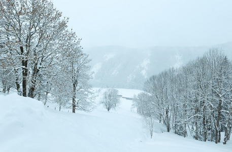 冬山朦胧风景