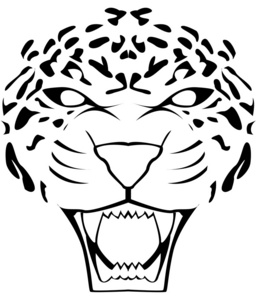 豹的脸的插图