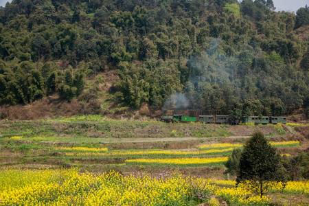 在乐山市旅游，四川犍为嘉火车菜籽坝站之间的小火车