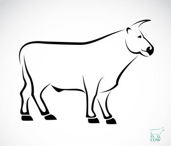 牛的矢量图像