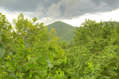 山风景