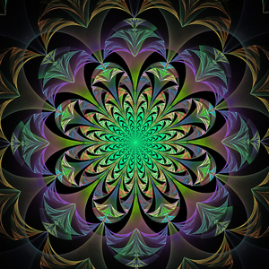 美丽的灰色, 绿色和紫色抽象花照片