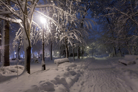 公园晚上积雪覆盖