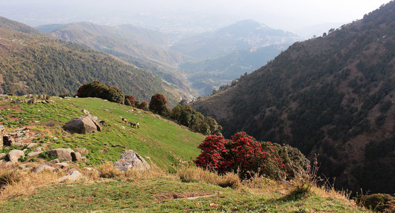 在喜马拉雅山脉徒步旅行