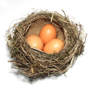 三个鸡蛋的鸟巢