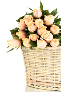 束美丽的玫瑰在篮子里上白色, 孤立