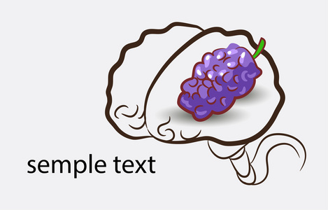 与葡萄的大脑图片