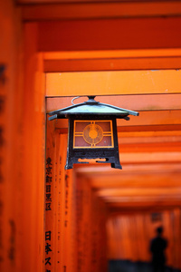 中国的灯笼在伏见 inari 寺的橙色牌坊门