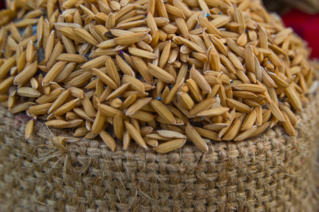 在一个麻袋稻谷照片