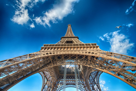 在冬季，巴黎埃菲尔铁塔的棒视图