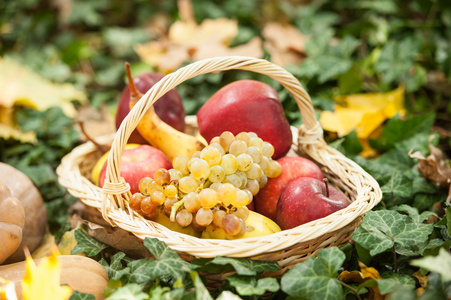不同种类的水果和蔬菜在绿色草地上的篮子里。秋天收获蔬菜户外 葡萄 苹果 南瓜。秋天收获蔬菜和水果在公园里的篮子里。感恩节
