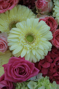 黄色和粉红色的新娘花束