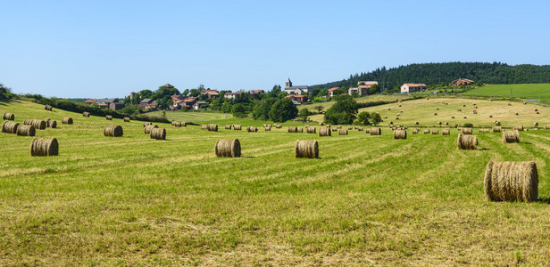 阿维龙的乡村景观法国