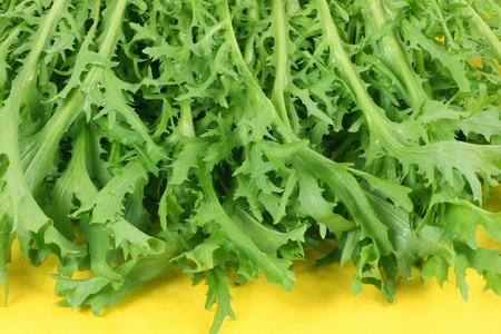 茼蒿清炒虾仁清炒虾仁[医]茼蒿茼蒿串茼蒿种植水水培法茼蒿的蜜蜂白色