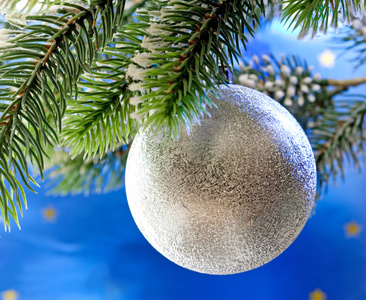 美丽银色新年球上的一棵圣诞树的分支