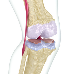 骨质疏松症的膝盖关节
