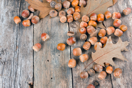 秋天的橡树叶子和橡子上的抽象背景