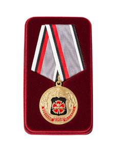 白色背景上孤立的俄罗斯服役奖章