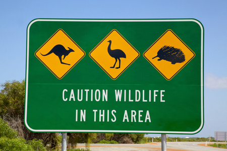 澳大利亚野生动物标志